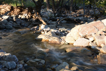 Canyon Creek