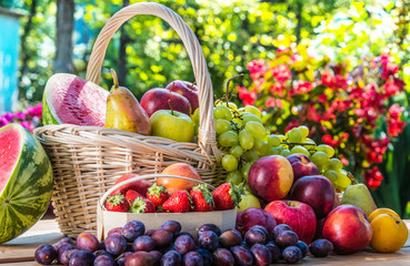 Variety of fresh ripe fruits in the garden.