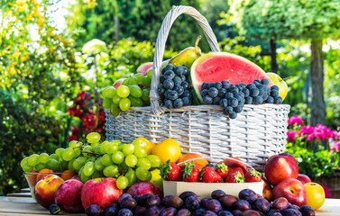 Obraz premium Różnorodność świeżych dojrzałych owoców w ogrodzie.