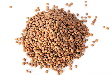 Berglinsen auf weiß isoliert