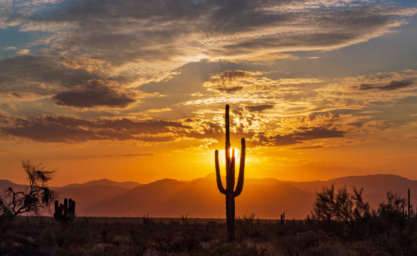 Arizona Rises