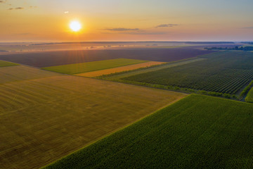Fototapeta premium Aerial drone view of cultivated farmland and fields during the summer in Wales,