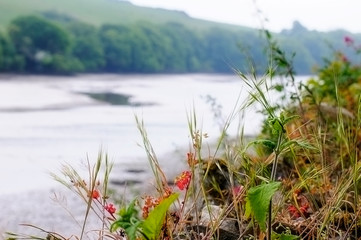 Bowcombe Bridge Kingsbridge Devon