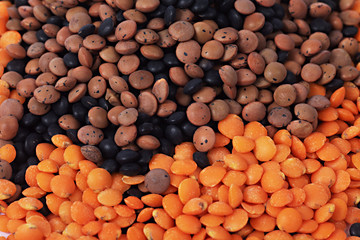 Drei verschiedene Linsensorten 