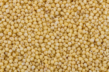 Groats of millet