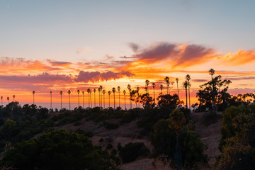 Elysian Park Sunset. Los Angeles