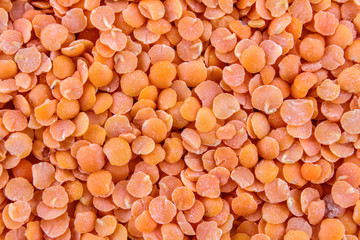 Lentil red