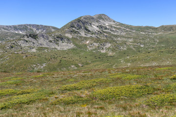 Landscape near Belmeken Peak, Rila mountain, Bulgaria