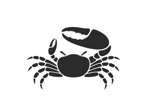 Fiddler crab. Logo. Isolated crab on white background