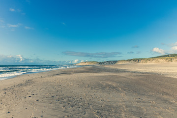 Wide beach with sand dunes