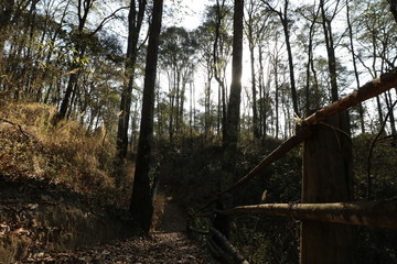 El Cipres Nanacamilpa Tlaxcala. 