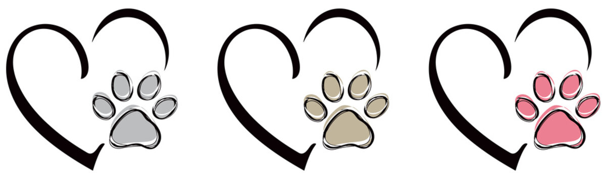 3 511 Best Chien Fond Blanc Images Stock Photos Vectors Adobe Stock