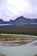 Goats & Glaciers Lookout