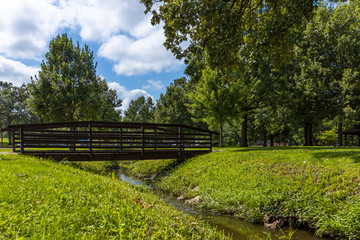 bridge in the park