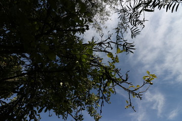 Hacienda de la Luz Nanacamilpa Tlaxcala.