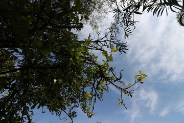 Hacienda de la Luz Nanacamilpa Tlaxcala.