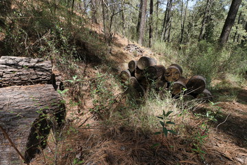 Hacienda de la Luz Nanacamilpa Tlaxcala.