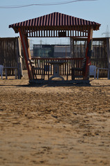 Old arbors on the beach