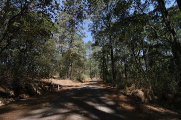 Hacienda de la Luz Nanacamilpa Tlaxcala.