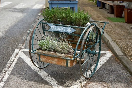 OId Green Painted And Rusty Cart With Aromatic Plants