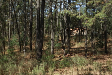 Hacienda de la Luz Nanacamilpa Tlaxcala.
