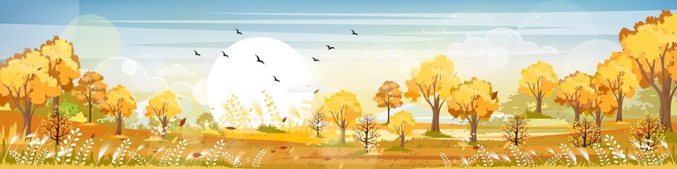 Fototapeta na wymiar Panorama of Countryside landscape in autumn, Vector illustration of horizontal banner of Autumn landscape, barn, mountains and maple leaves falling from the trees in yellow foliage. Fall seasons
