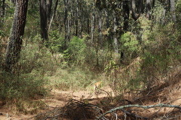 Hacienda de la Luz Nanacamilpa Tlaxcala.