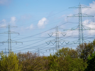 Power lines and trees under blue sky.