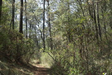Hacienda de la Luz Nanacamilpa Tlaxcala.