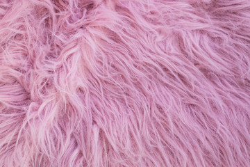 Pink Fur 