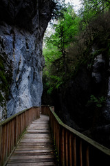 Fototapeta premium Canyon Forest River Walkways