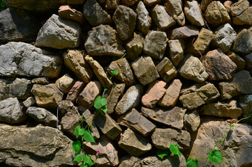 The old brick wall