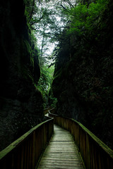 Obraz premium Canyon Forest River Walkways