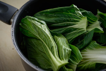 Chinese cabbage or Pak Choi or Bak Choy inside metal pot. healthy green vegetable for healthy lifestyle