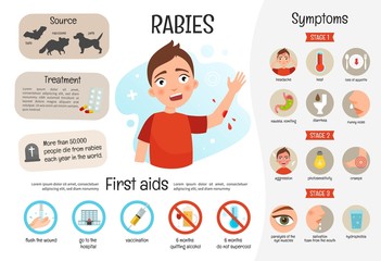 Fototapeta na wymiar Vector medical poster rabies. Symptoms of the disease. 