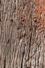 Old wood texture background surface. Wood texture table surface top view. Old wood background or rustic wood background