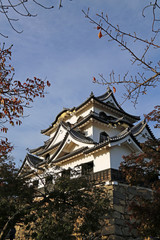 晩秋の彦根城