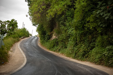 asphalted mountain road among trees