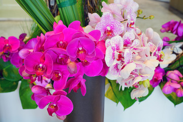 Colorful pink floral arrangement with orchid flowers