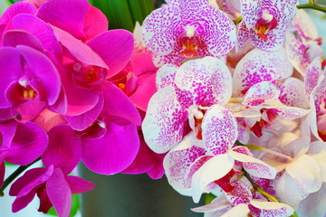 Colorful pink floral arrangement with orchid flowers