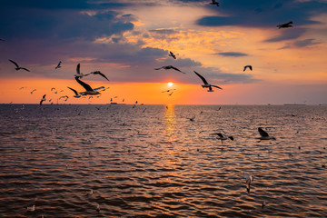 seagulls flying over the sea at sunset.