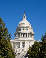 Fototapeta na wymiar Capital Hill Building closeup with blue sky in Washington D.C.,USA
