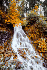 Fototapeta na wymiar Waterfall in deep forest ,Forest waterfall,Small waterfall in the autumn