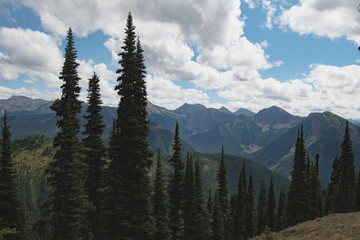 Beautiful outdoors experience
