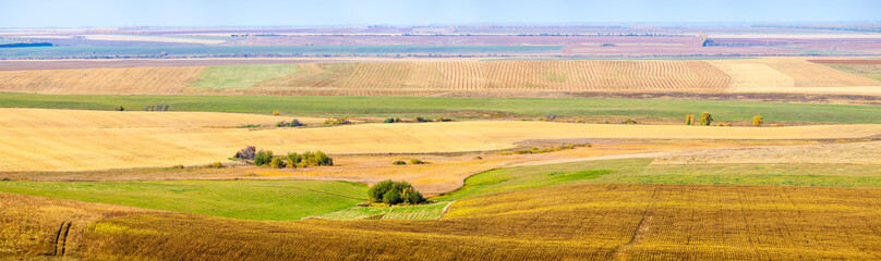 Fototapeta na wymiar Panoramic view of the countryside, agriculture field.