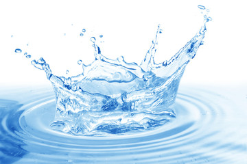 Water splash,water splash isolated on white background,water