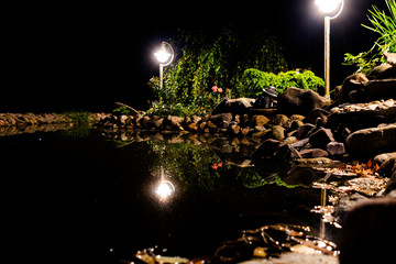 Garden pond at night. Illuminated pond shore in a night. Garden fish pond. Garden pond on natural landscape. Water garden natural pool. Exterior of a private garden. Pool with rocks
