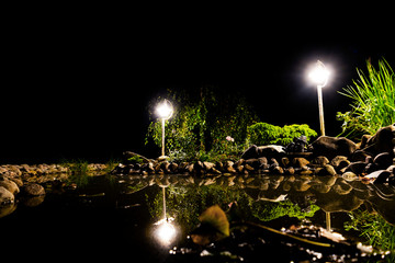 Obraz premium Garden pond at night. Illuminated pond shore in a night. Garden fish pond. Garden pond on natural landscape. Water garden natural pool. Exterior of a private garden. Pool with rocks