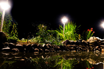 Garden pond at night. Illuminated pond shore in a night. Garden fish pond. Garden pond on natural landscape. Water garden natural pool. Exterior of a private garden. Pool with rocks