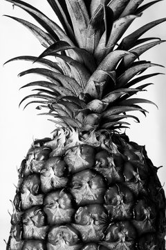black and white abstract pineapple